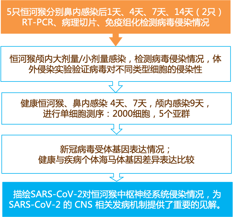 2024年12月30日 第36页