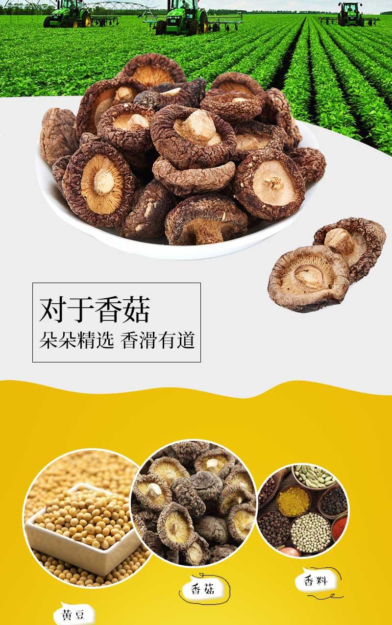 重庆豆干食品行业招聘热潮，探索美食背后的职业机遇与挑战