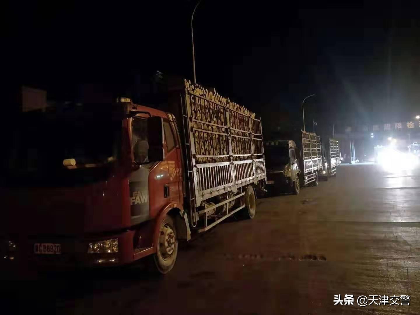 货车治超最新动态，深化治理，保障道路交通安全