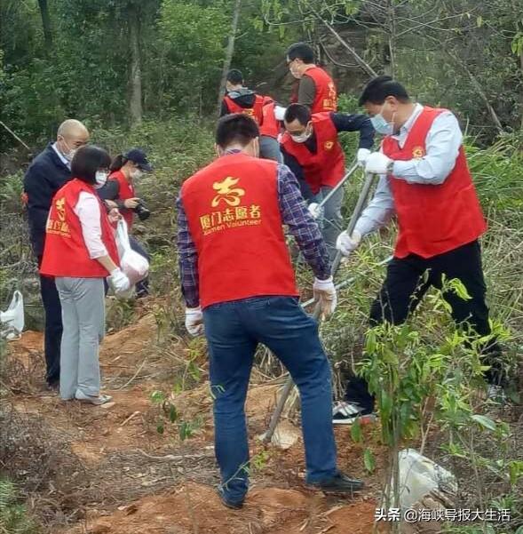 坂头防护林场最新发展规划概览