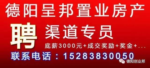 兼职礼仪，最新招聘信息及职业机遇探讨