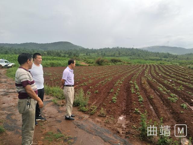 白水县农业农村局新项目推动农业现代化，乡村振兴再添动力